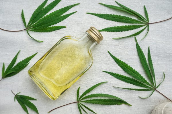 Масло из конопли конопель