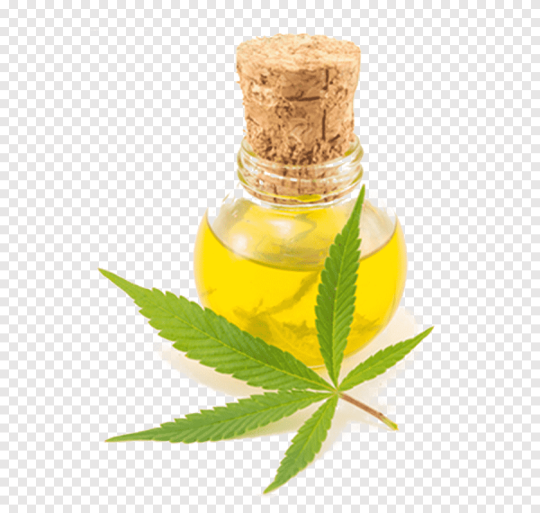Масло конопли каннабидиол