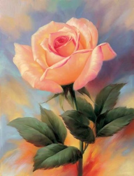 Розы маслом