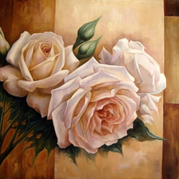 Бруно Августо розы