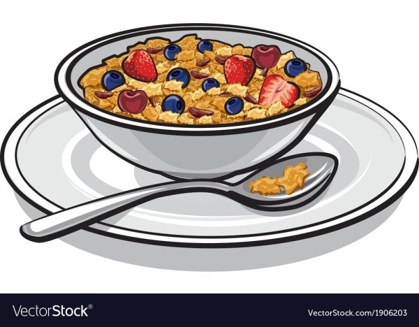 Тарелка с кашей вектор