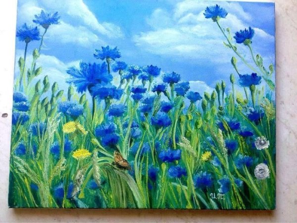 Васильки в поле