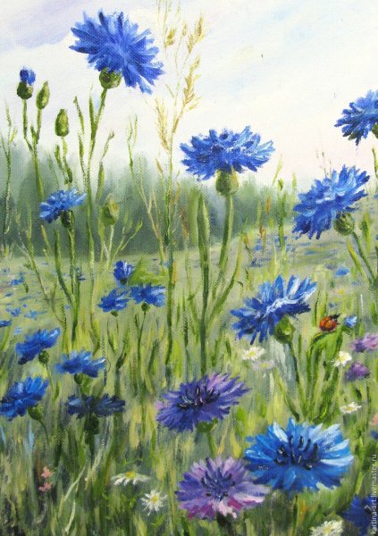 Моне Василёк