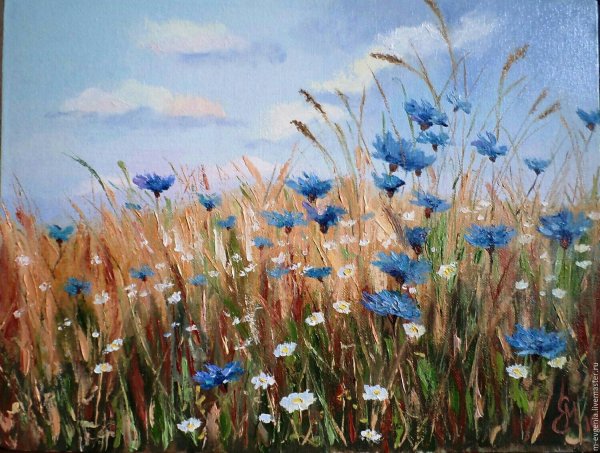 Нестерчук Степан васильки