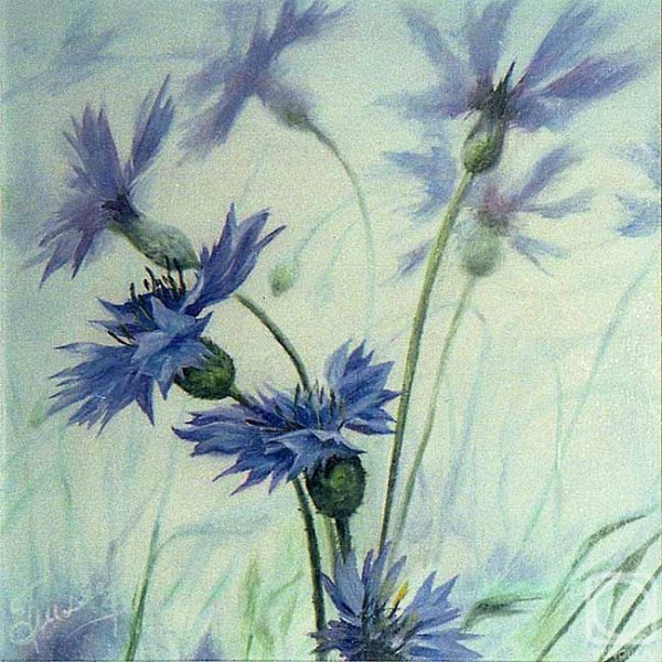 Петр Трегуб васильки