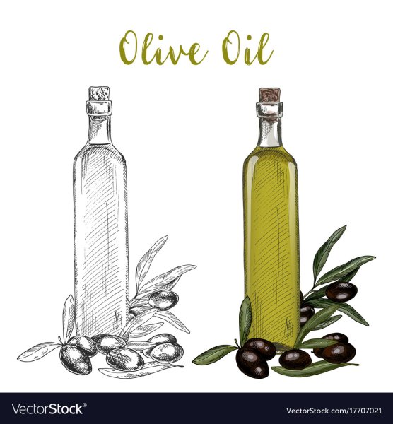 Оливковое масло эскиз