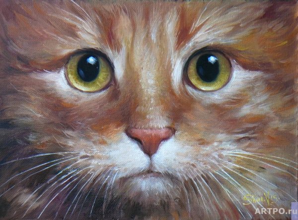 Кошки маслом на холсте
