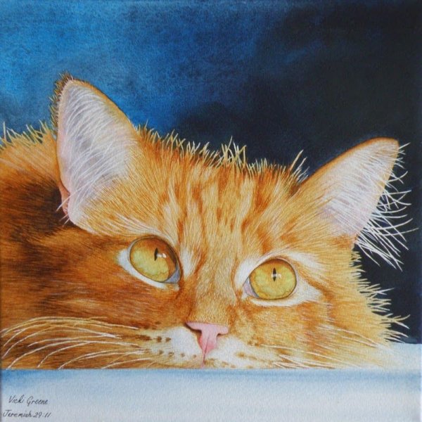 Рыжий кот на постере