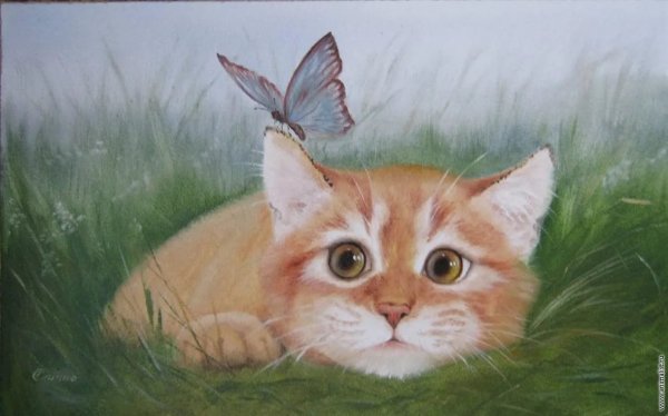 Картина кот и бабочка