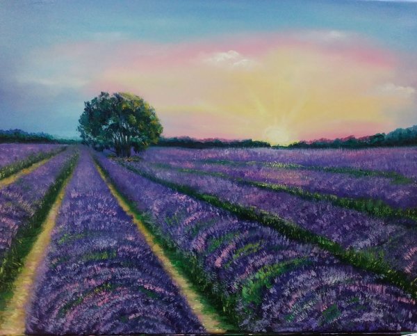 Хейзел Баркер Лавандовое поле