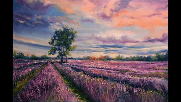 Художник Sung Kim Лавандовые поля