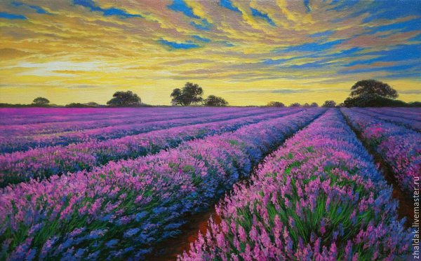 Кристиан Женель Лаванда