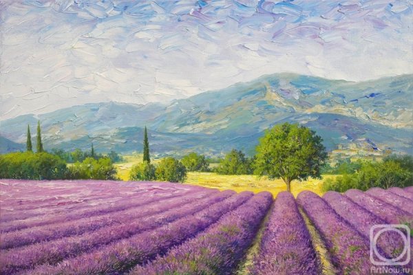 Жалдак Эдуард Лаванда