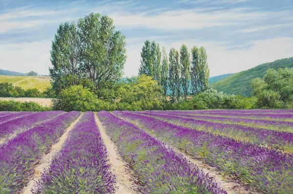 Жалдак Эдуард Лаванда