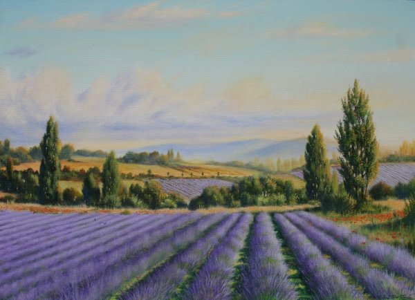 Кристиан Женель Лаванда