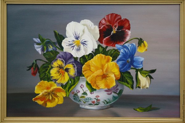 Андрияка Анютины глазки