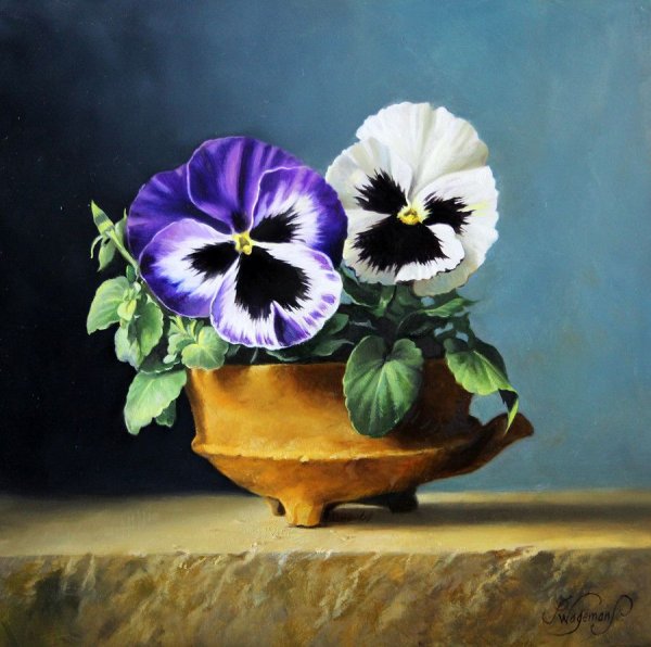 Андрияка Анютины глазки