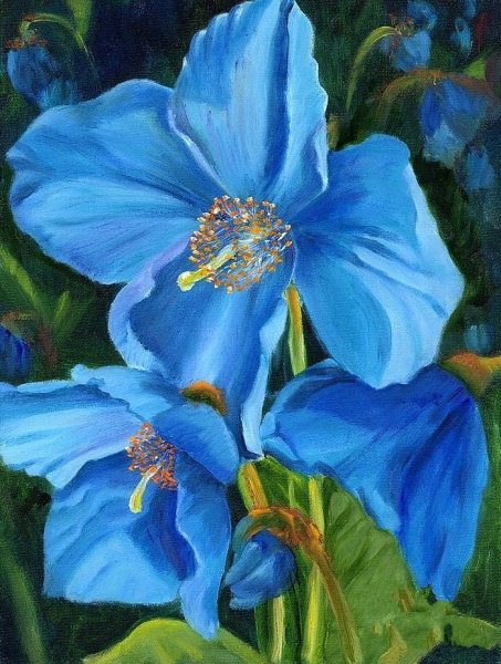 Синие цветы живопись