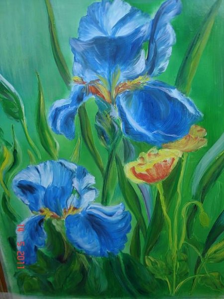 Ирисы акрилом