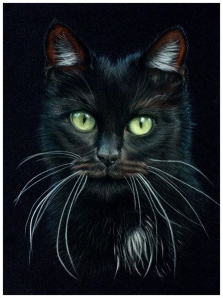 Черно красная картина кота