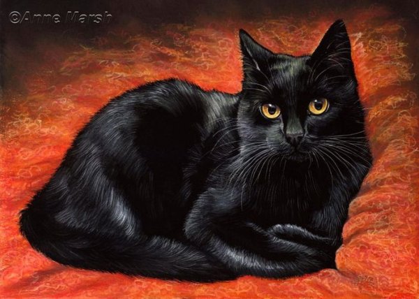 Черная кошка живопись