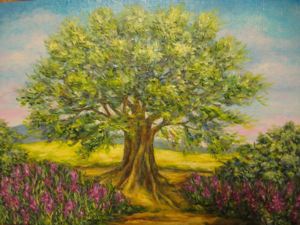 Масло для дерева