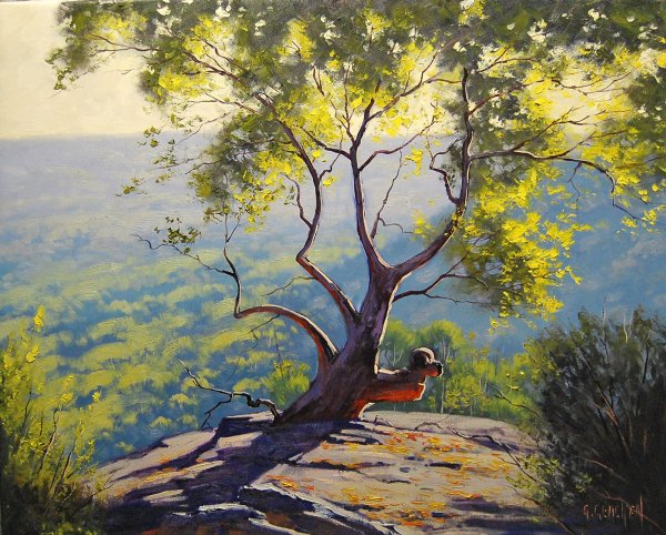 Австралийский пейзажист Graham Gercken