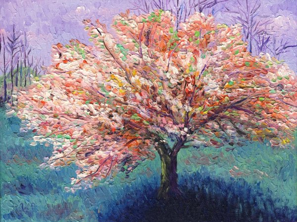 Цветное дерево
