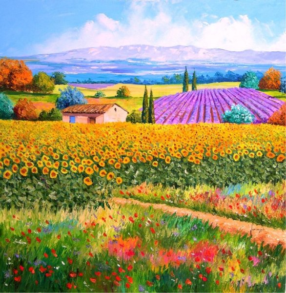 Жан Марк Жаньячик Прованс