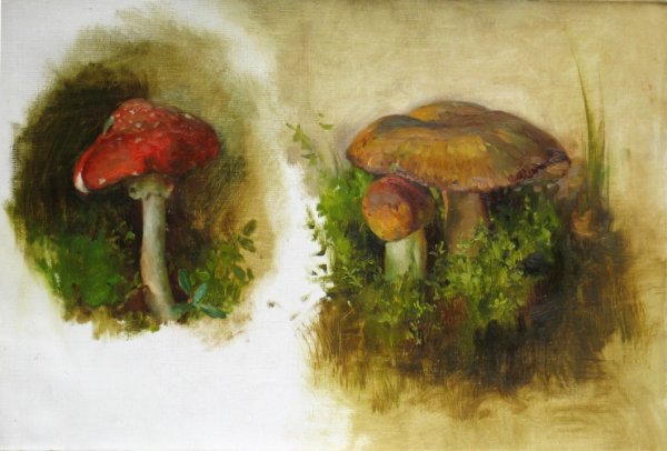 Живопись грибы Этюд
