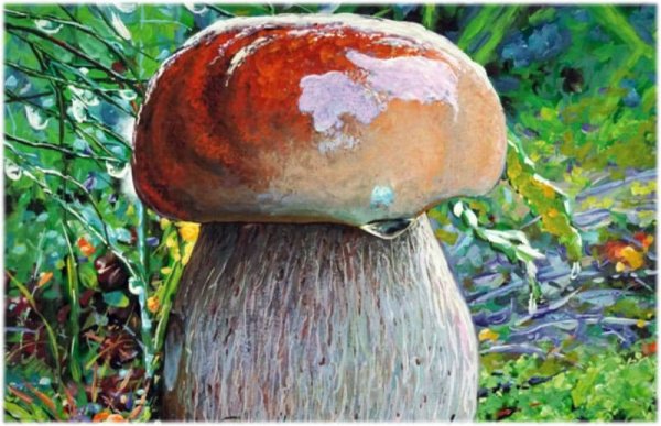 Картина грибы в лесу