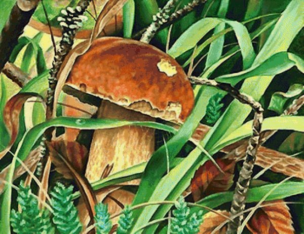 Грибы на холсте