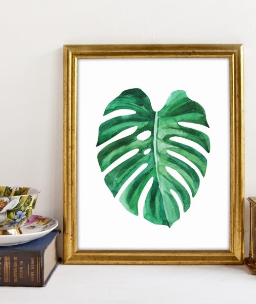 Монстера картина