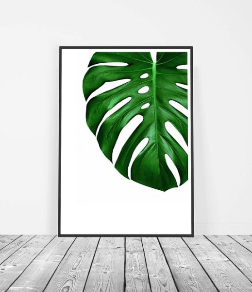Картина листья монстеры