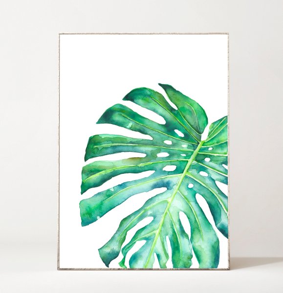 Monstera Leaf Aquarelle