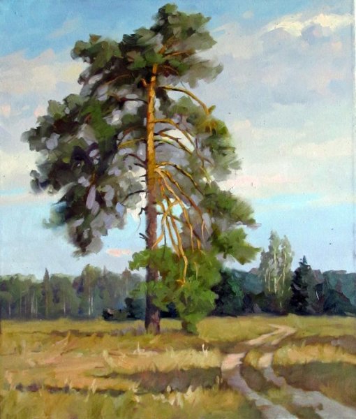 Этюд Шишкина сосна на скале