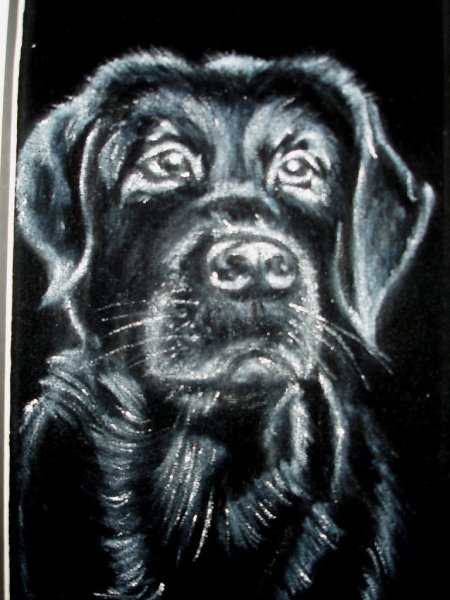 Рисование на бархате