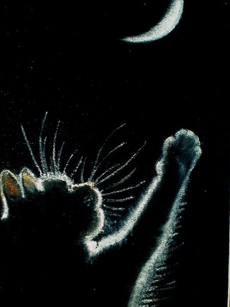 Живопись на черном бархате