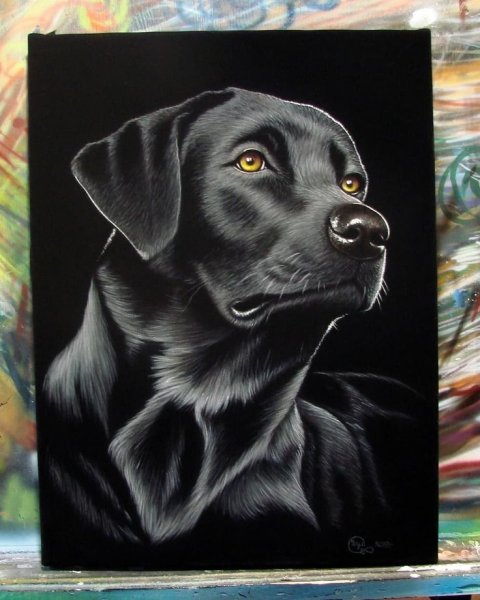 Картины на бархате маслом