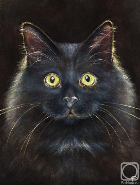 Черная кошка живопись