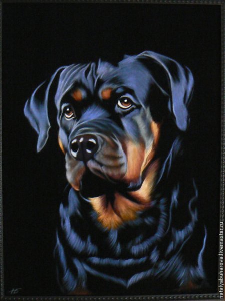 Картины на бархате