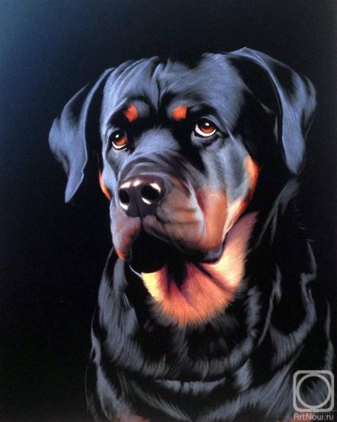 Шахарби Эбзеев