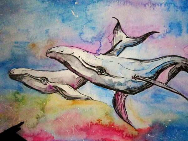 Кит живопись