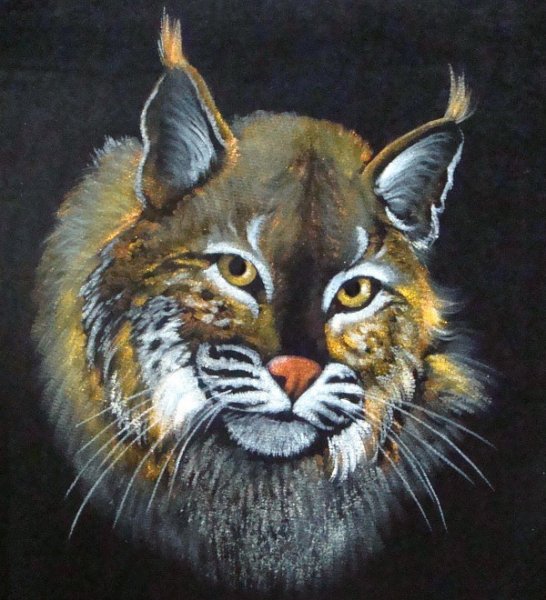 Роспись бархата