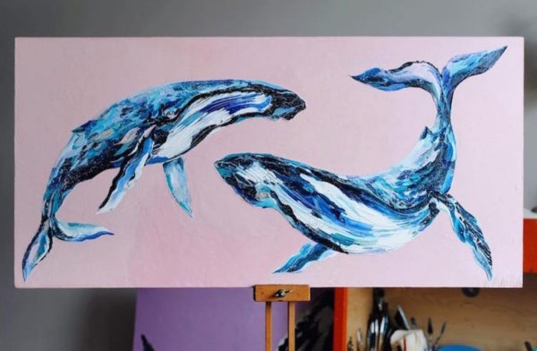 Киты Анастасия Аблогина