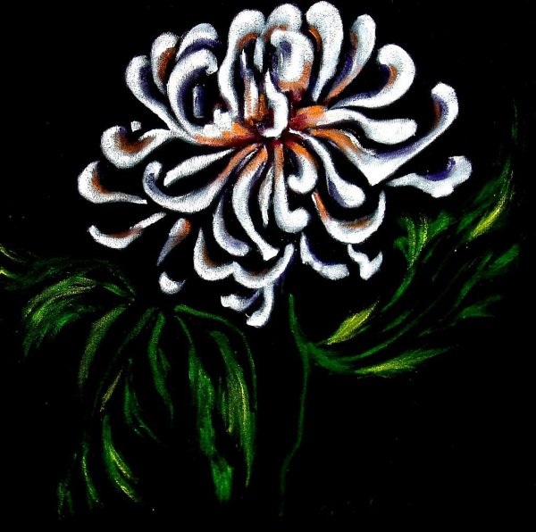 Бархат в живописи