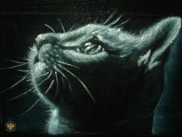 Картины на бархате