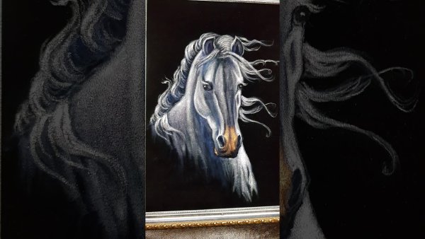Картины на бархате лошадь