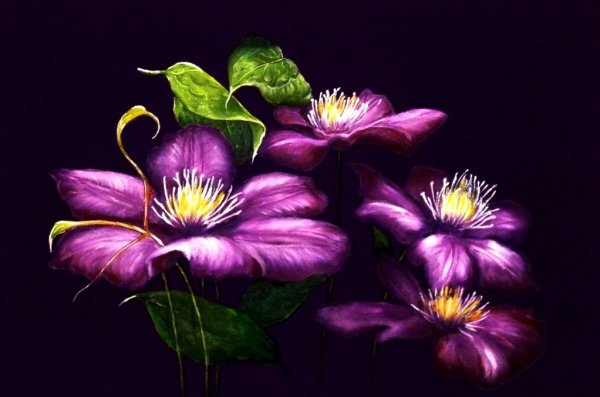 Живопись на черном фоне