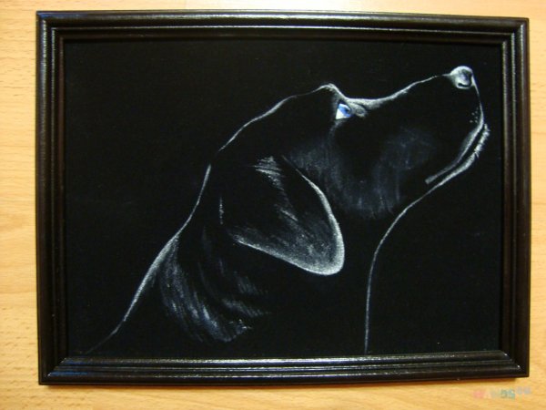 Техника рисования на бархате